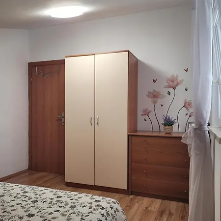 Mihe 1